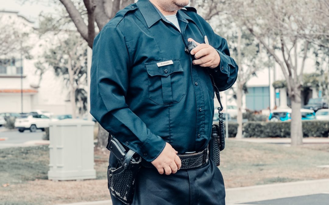 How Private Security Professionals Protect You?